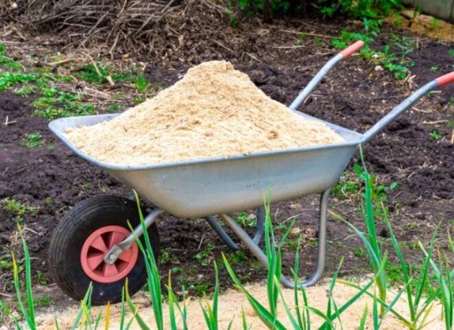 ������ � �������: ��� ����� ����� ����� ��������������