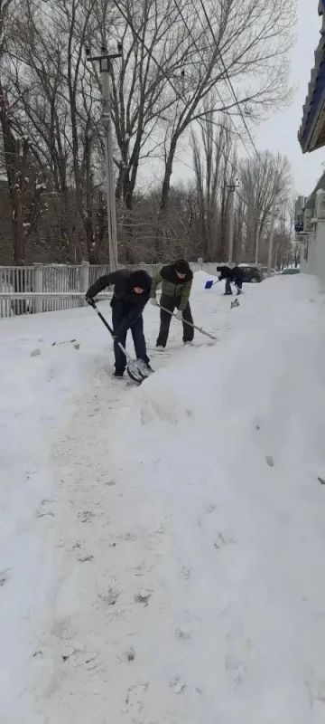 ����������� �������������� �������� � ���������������� �������� ���������� ���������� �������� ���������� ������ ��������������� � ������ ������