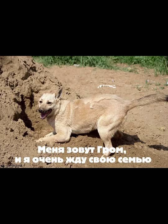 ������ ����� ������ "���� �����" ������� � 1900 �� ���������� "������� 24"