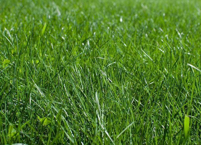 ��� ������������� ������ �������� ��������� ������� � �������� ������