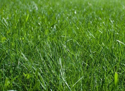 ��� ������������� ������ �������� ��������� ������� � �������� ������