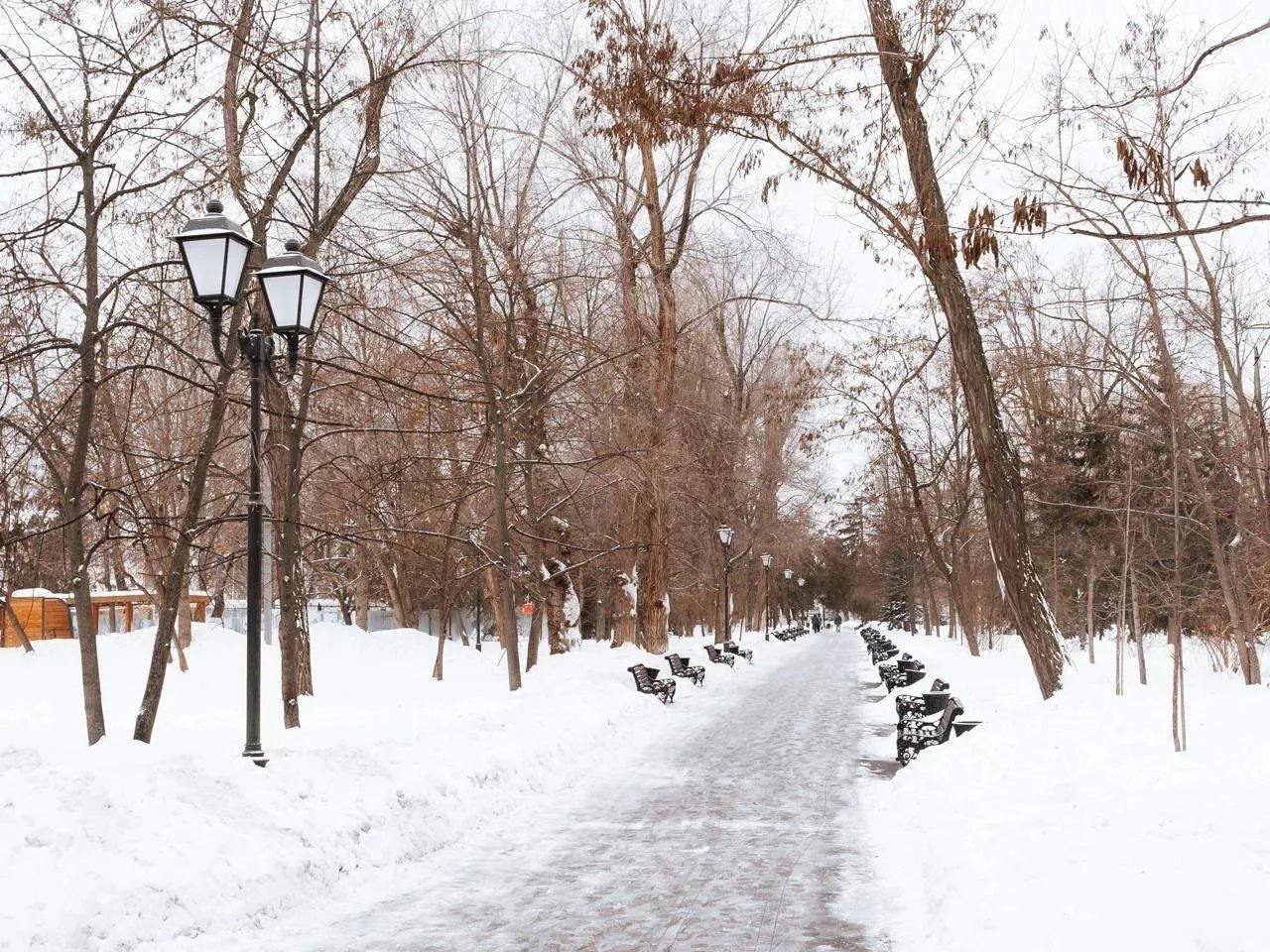 Вслед за зимой придет весна, а за весною лето Вслед за зимой придет весна, а за весною лето