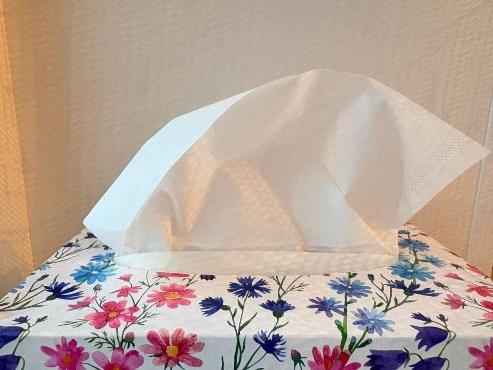 ������ ������� �������� �� ��� �������: ����������� ���