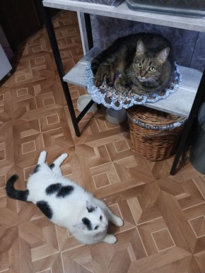 В четверг 26 февраля 2026 года на территории области - облачно с прояснениями