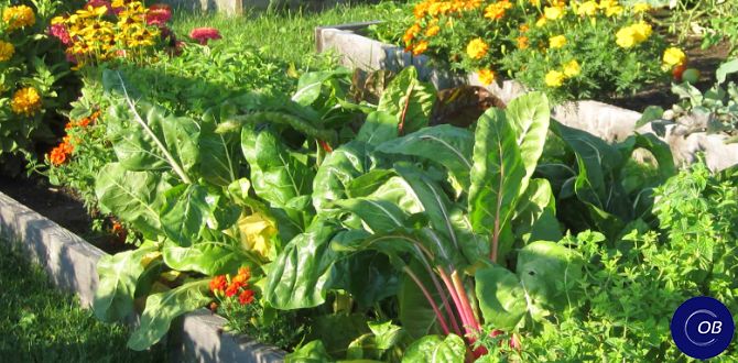 �����������: ������� ��������� ����������� � ��������������