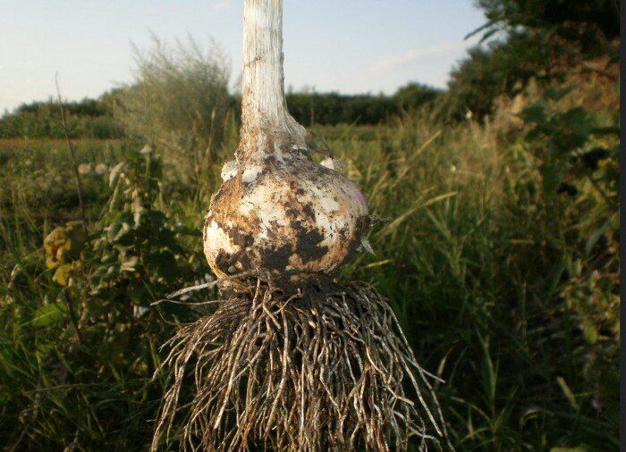 ��� ��������� ���������� ������: �������� ������ � ������ �� ��������