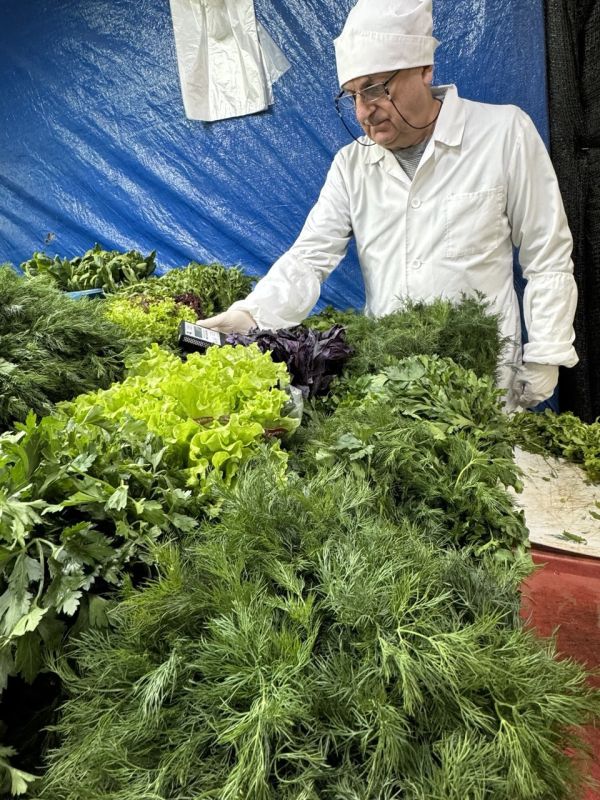 ����� 5 ���� ��������� ��������� � ������������� ������������� �� �������� � ���������� � ������ 2026 ����