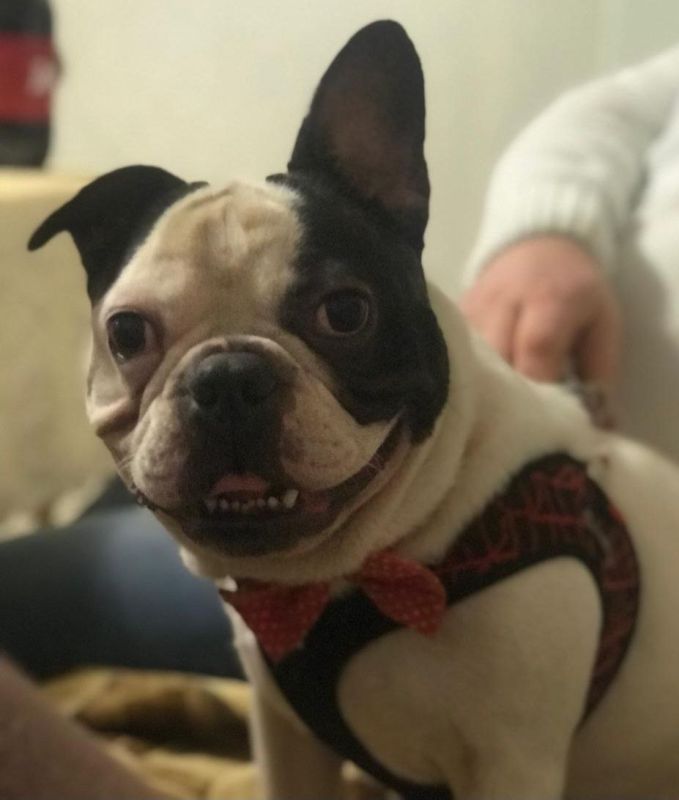 В пятницу 27 февраля на территории области - переменная облачность