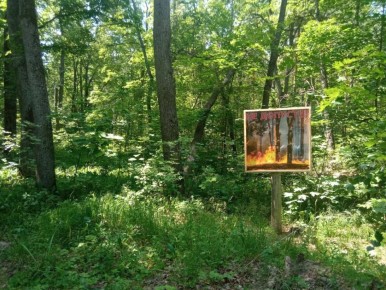 �� ������ ����� �� ������� � 2026 ���� �������� 173 ��� ������