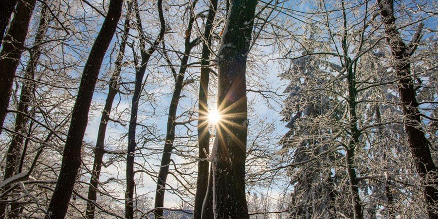 � �������� ������� ������� ��� ������� � � ���������