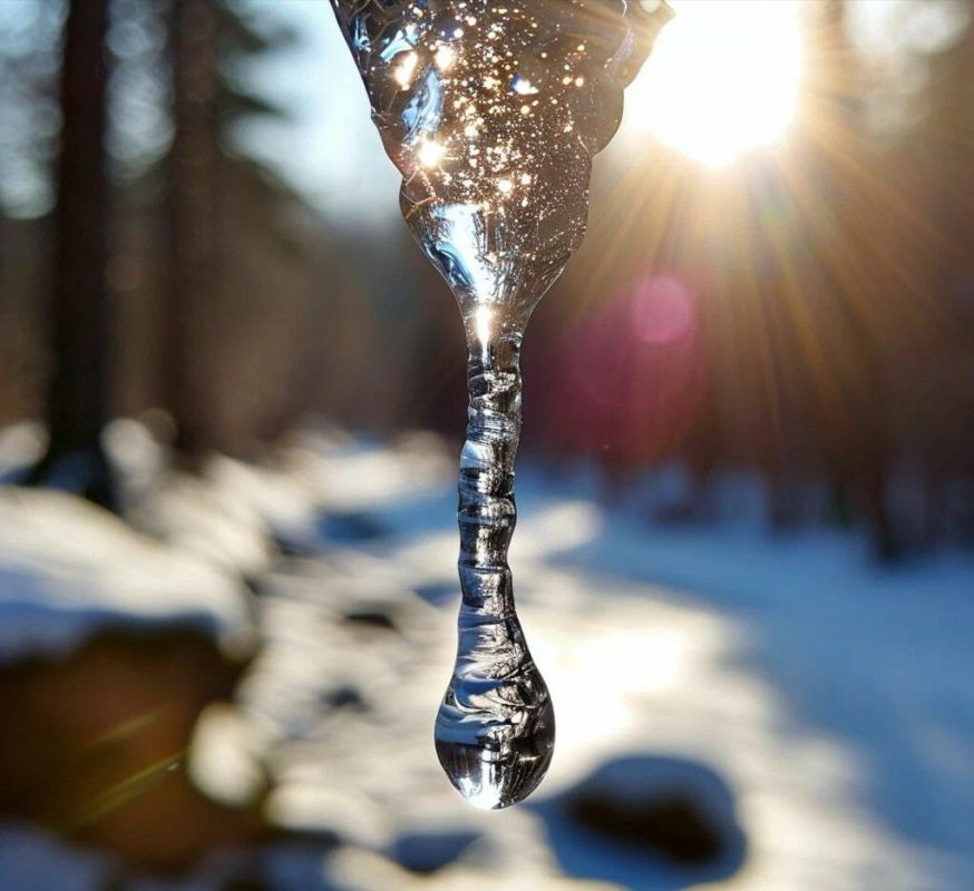 ���� �������� � ������� � ����������