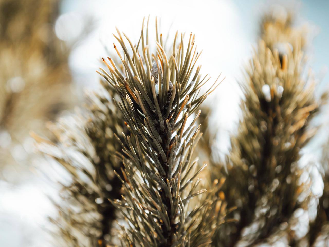 Осталось чуть-чуть до тепла Осталось чуть-чуть до тепла