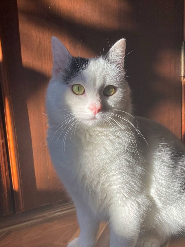 В субботу 28 февраля на территории Саратовской области - облачно с прояснениями