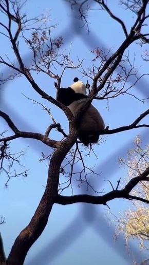 У нас две хорошие новости!