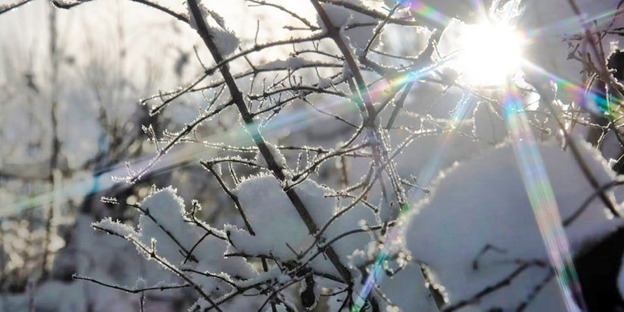 ����� ����������. � ����������� ������� ������������ ���������� � ���� � ������