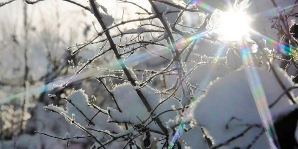 Весна начинается. В Саратовской области прогнозируют потепление и снег с дождем