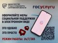 Нацпроект «Семья»: с начала года 75 многодетных семей реализовали право на региональный маткапитал