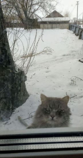 В воскресенье, 1 марта, в Саратовской области синоптики прогнозируют облачную погоду с прояснениями