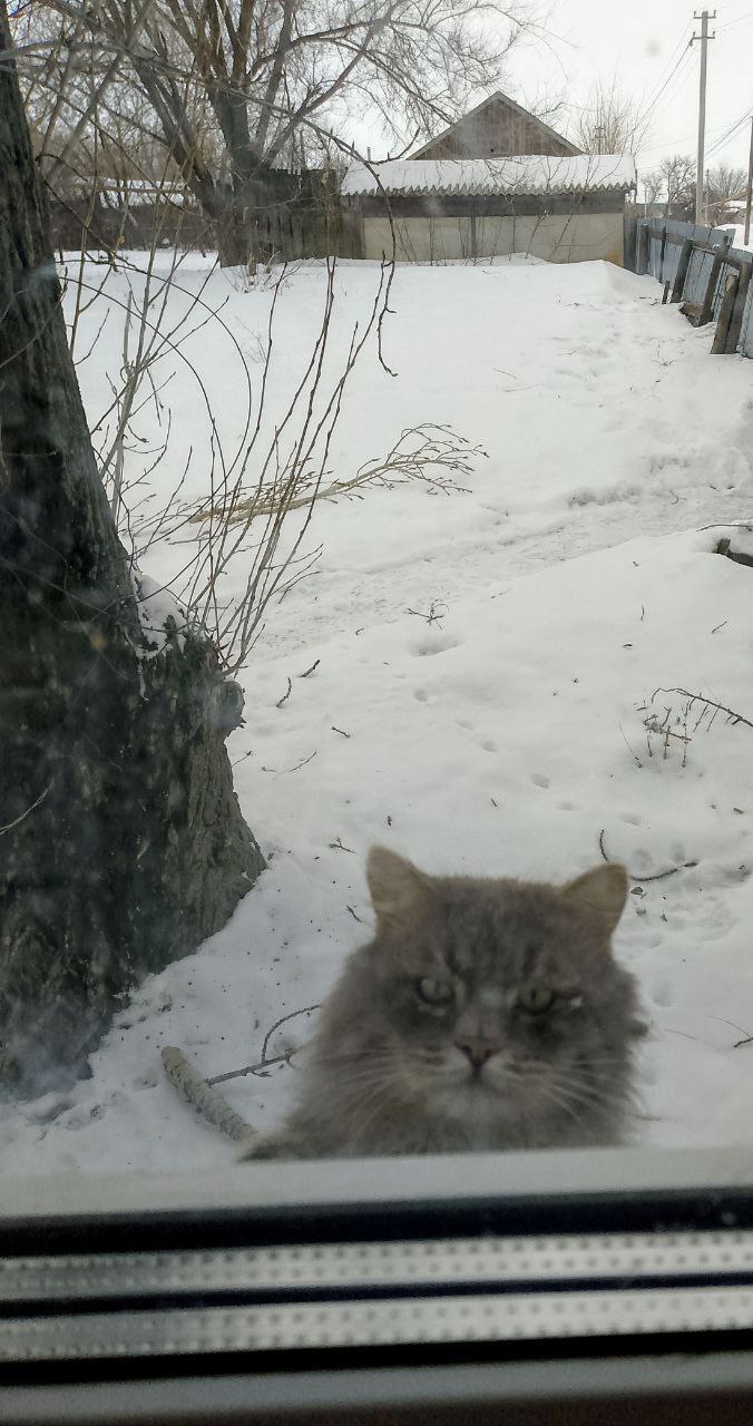 В воскресенье, 1 марта, в Саратовской области синоптики прогнозируют облачную погоду с прояснениями