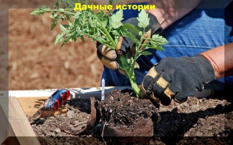 ��� ��������� �������� ������� �������: ������ ��� ��������� ������