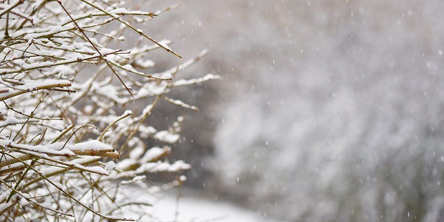 В Саратовской области ожидается мокрый снег и температура до -7
