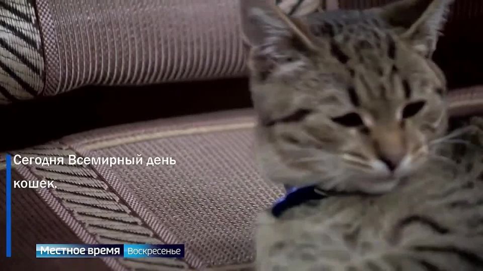 Чем запомнилась саратовцам прошедшая неделя с 23 февраля по 1 марта: Решение кадровой проблемы в медицине