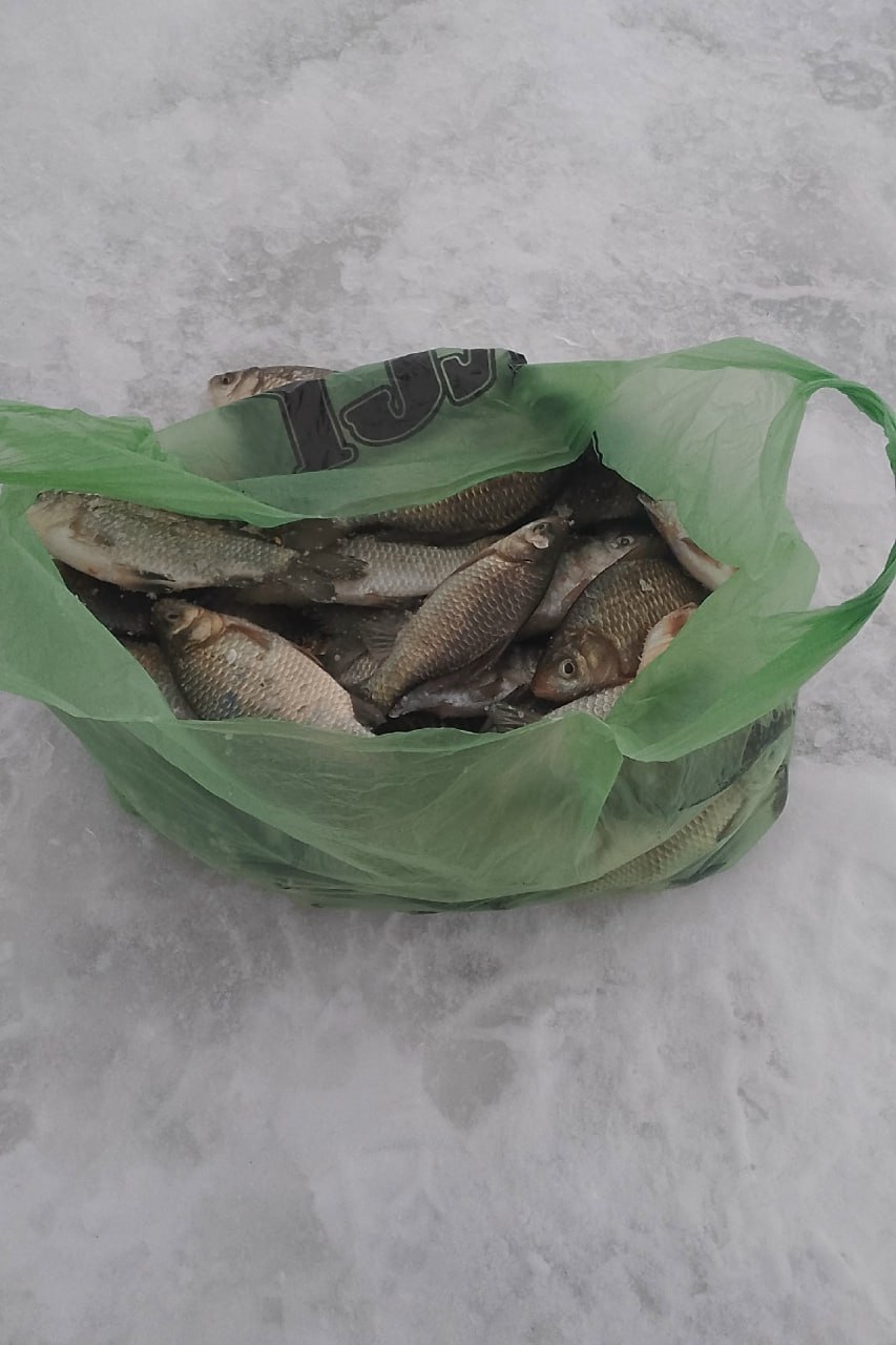 Саратовский рыбак поймал двух щук весом более 11 килограммов Саратовский рыбак поймал двух щук весом более 11 килограммов