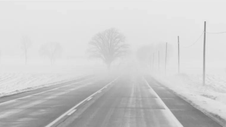 �� ������ �������������� 02.03.2026 �� ���������� ����������� ������� �������� ������, � ������������