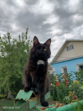 � ����������� ������� 2 ����� ��������� ���������� � �����