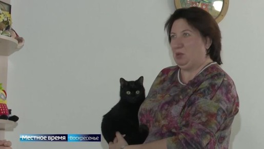 ������� ���������� ��������� ���� �����