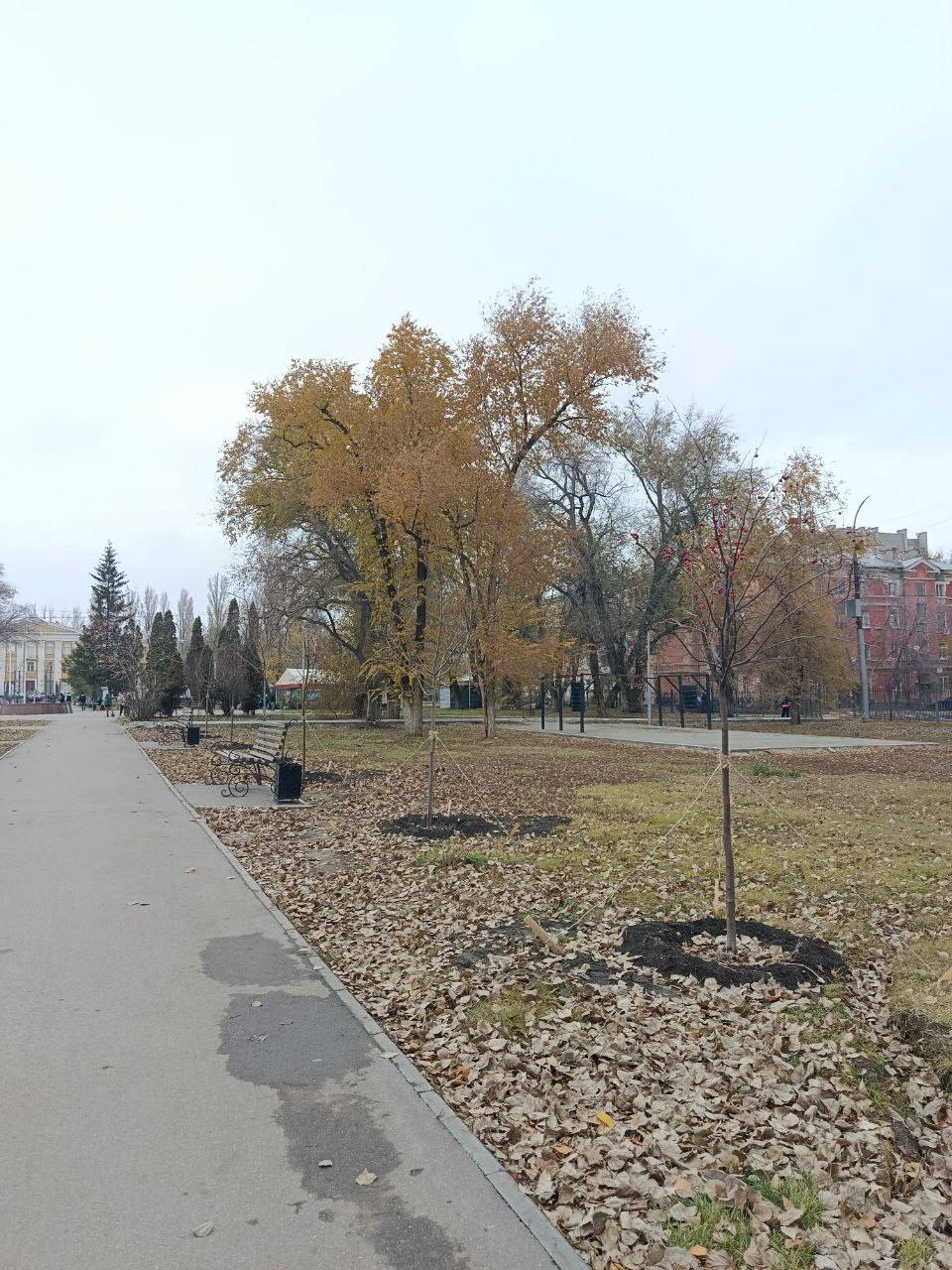 В этом году начинаем капитальный ремонт сквера Дружбы народов В этом году начинаем капитальный ремонт сквера Дружбы народов