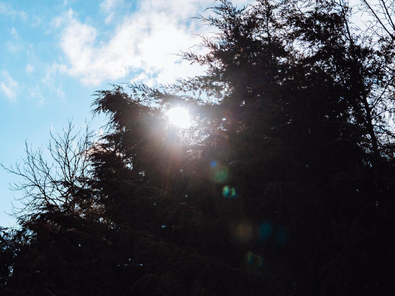 Начинается прекрасная пора Начинается прекрасная пора