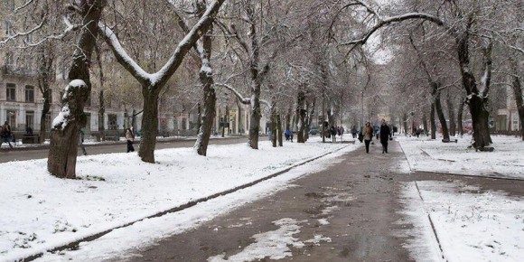 � �������� ���� �������� �� ����� � ������� � �������� �����������