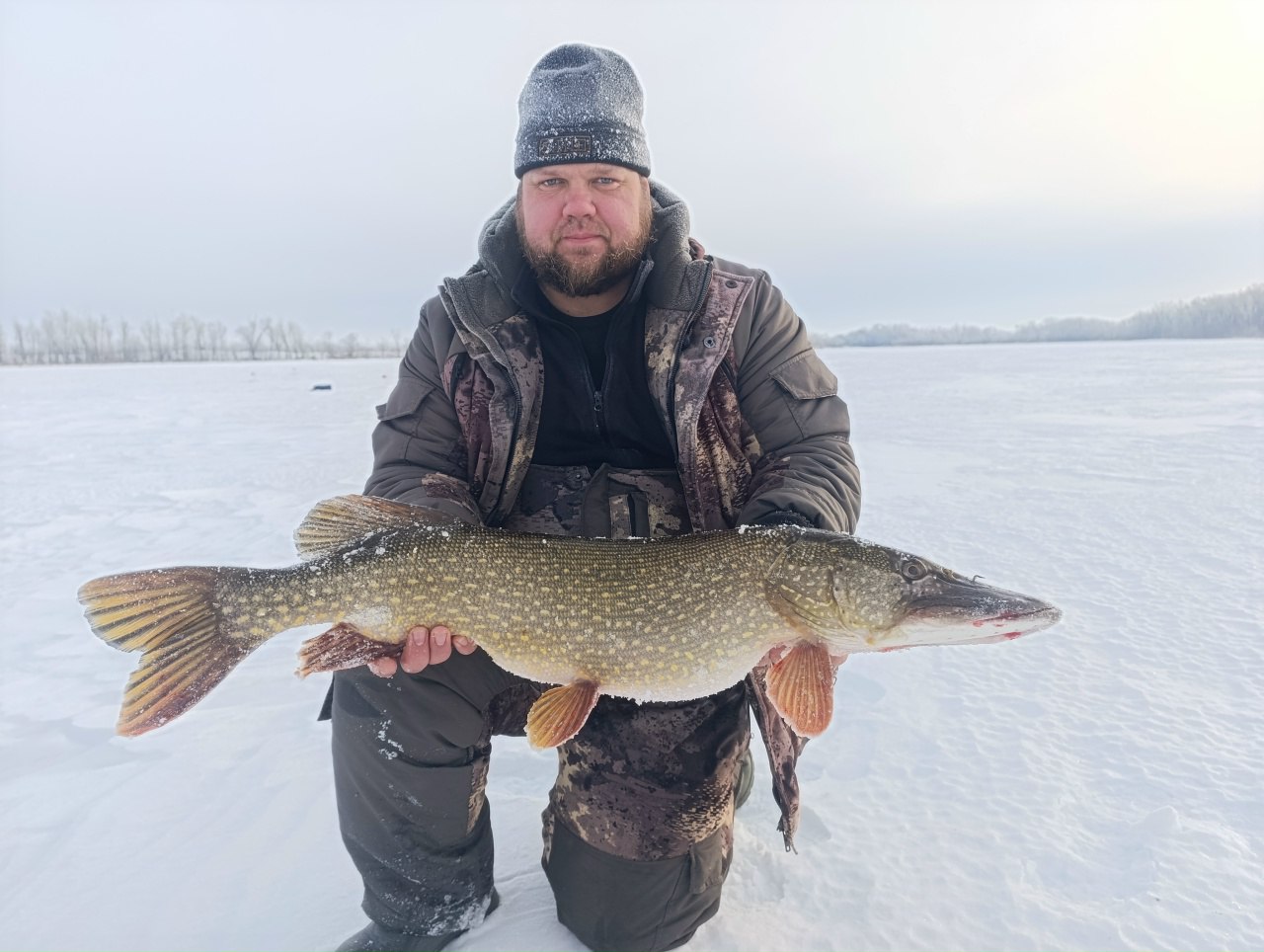 Саратовский рыбак поймал двух щук весом более 11 килограммов Саратовский рыбак поймал двух щук весом более 11 килограммов
