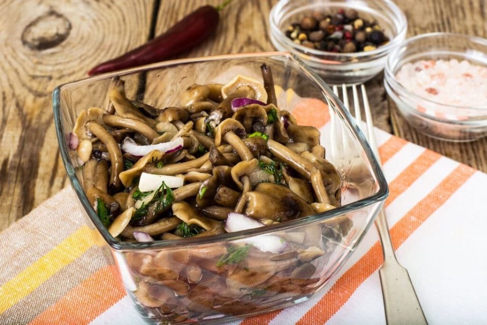 ��� ����������� ������������ �����: ������� ������