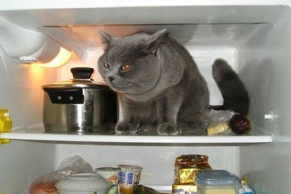 ��������� ���������� � ����: ����������� ������ �� ������ ����