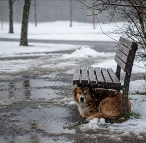 ������ ������ ����� � ���������������� ������ � �� +5 �����