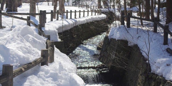 В Саратове прогнозируют потепление до +4 градусов и туман