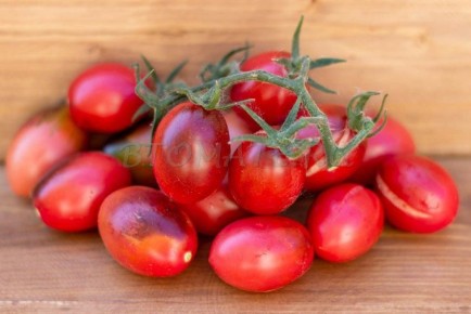 ����� ������ �����: �����������, ������� ������� ������� ��������