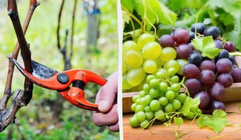 �������� ���� �� ����������: ������� �������� ������� � ������