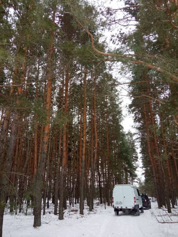 Лесная охрана провела свыше 1000 патрулирований лесов