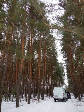 ������ ������ ������� ����� 1000 �������������� �����