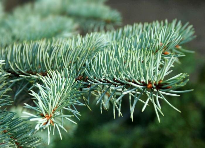 ��� ������� ���� ����� ����������� ��� ������ �������