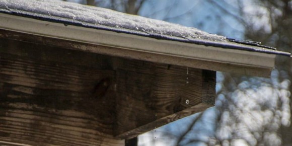 В Саратове ожидается небольшой снег с моросью и плюсовые температуры