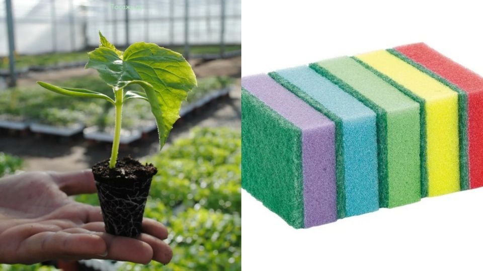 ��� �� 20 ������ ��������� ������ ������ ������� ��� �����