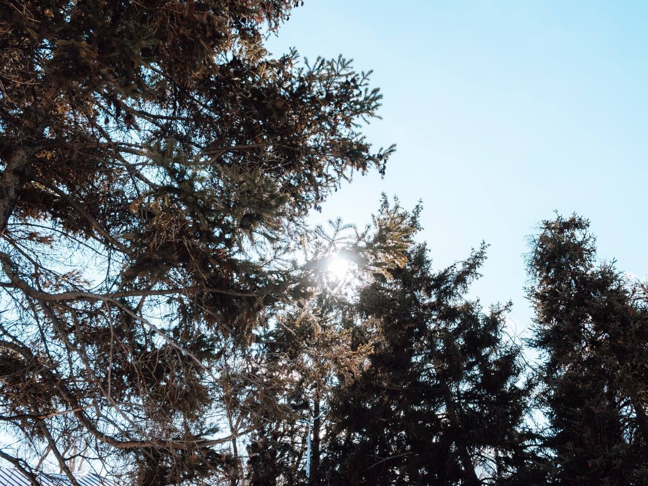 По этому городу гулять можно бесконечно долго По этому городу гулять можно бесконечно долго