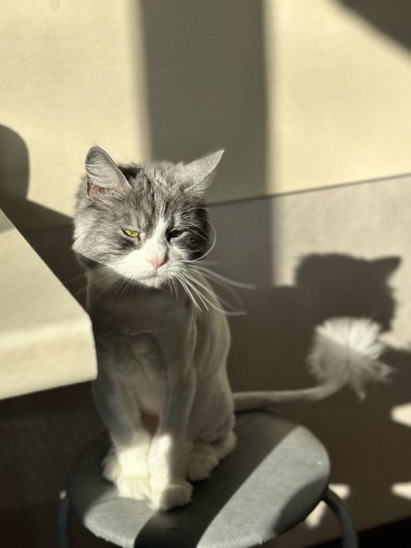 ���� �� ��������� ����������� �� ������ ����� ���������� ��������, �� ����������� ��� ��� ����� �������� ������� ����� �������� (� �� ������) �����������