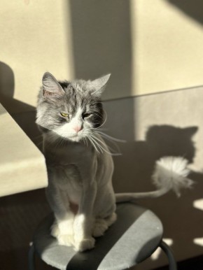 Пока вы пытаетесь настроиться на работу после обеденного перерыва, мы подготовили для вас новую подборку снимков наших пушистых (и не только) подписчиков