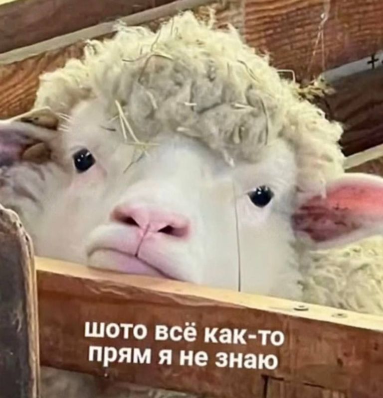 ��������� ������ ���������� ������ ������