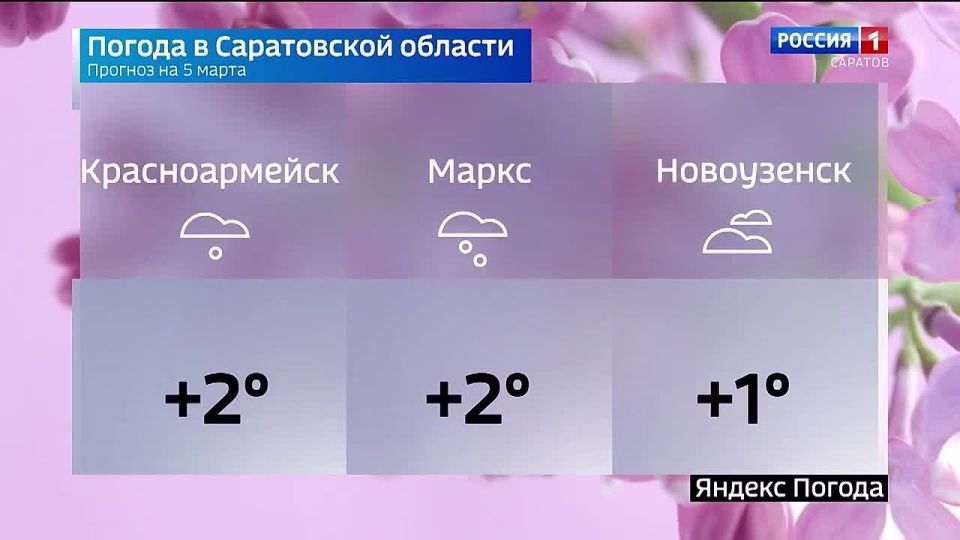 �� 5 �����